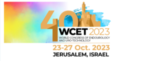 WCET 2023